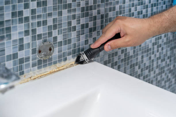 Best Office Mold Removal Services  in Morris, AL
